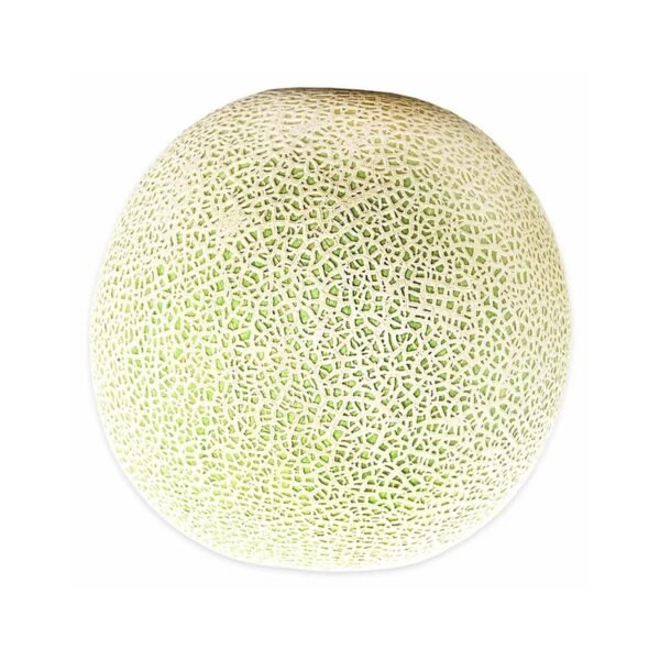 Fresh Cantaloupe, Each - Imagen 2