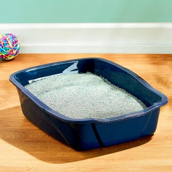 Vibrant Life Large Cat Litter Box - Imagen 2