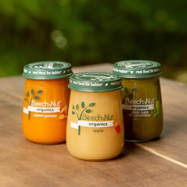 Beech-Nut Organics Stage 1 Organic Baby Food, Pumpkin, 4 oz Jar - Imagen 4